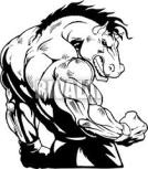 musclehorse